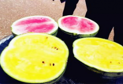 坎贝奇吃瓜爆料,揭秘娱乐圈背后的惊人真相